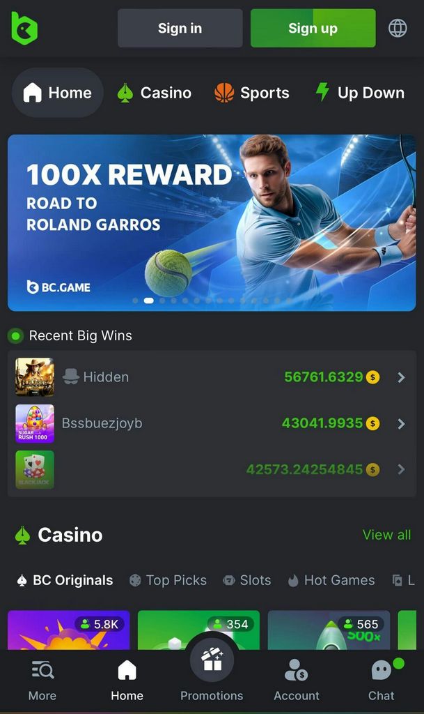 Authorities BC.Game Crypto Casino Site Website